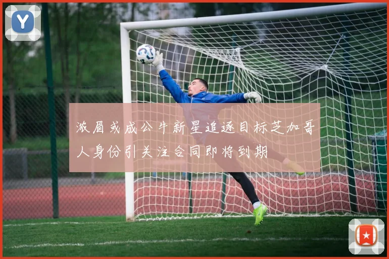 浓眉或成公牛新星追逐目标芝加哥人身份引关注合同即将到期