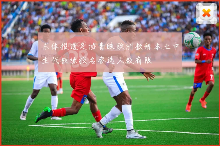 东体报道足协青睐欧洲教练本土中生代教练报名参选人数有限