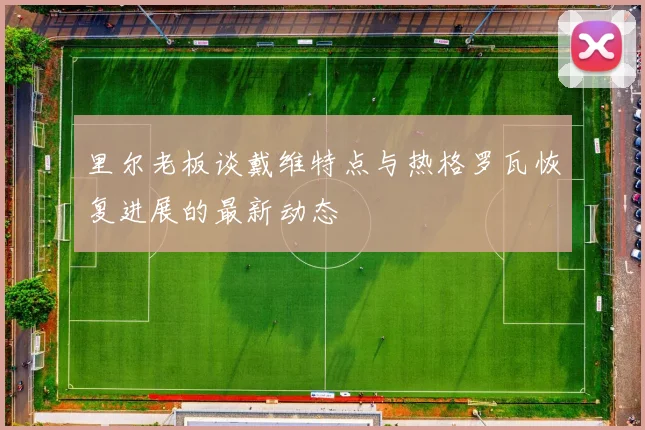 里尔老板谈戴维特点与热格罗瓦恢复进展的最新动态