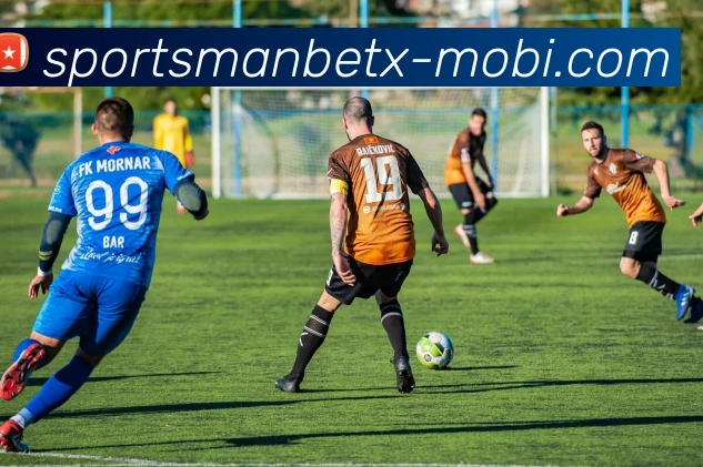 万博体育服务体系