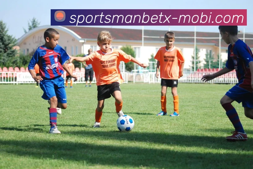 万博体育APP 体育赛事宣传图